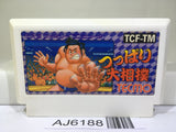 Tsuppari Ozumo Sumo Nintendo Famicom NES Japan - AJ6188