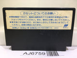 Hiryu no Ken III 3 Nintendo Famicom NES Japan - AJ6759