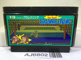 Tag Team Pro Wrestling Nintendo Famicom NES Japan - AJ6802