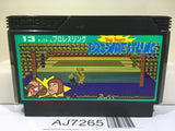 Tag Team Pro Wrestling Nintendo Famicom NES Japan - AJ7265