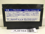 Tag Team Pro Wrestling Nintendo Famicom NES Japan - AJ8164