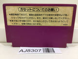 Spartan X Kung Fu Master Nintendo Famicom NES Japan - AJ8307