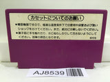 Spartan X Kung Fu Master Nintendo Famicom NES Japan - AJ8539