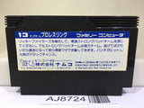 Tag Team Pro Wrestling Nintendo Famicom NES Japan - AJ8724