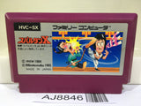 Spartan X Kung Fu Master Nintendo Famicom NES Japan - AJ8846