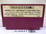 Spartan X Kung Fu Master Nintendo Famicom NES Japan - AJ8847