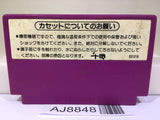 Spartan X Kung Fu Master Nintendo Famicom NES Japan - AJ8848