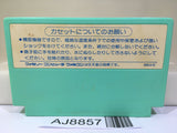 Layla Maze Action Nintendo Famicom NES Japan - AJ8857