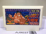 Tsuppari Ozumo Sumo Nintendo Famicom NES Japan - AJ9037