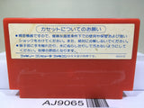 Bomber King scenario Nintendo Famicom NES Japan - AJ9065