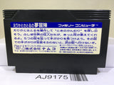 Erika to Satoru no Yume Bouken Nintendo Famicom NES Japan - AJ9175