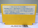 Solomon's Key Nintendo Famicom NES Japan - AJ9232