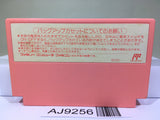 Kirby Kirby's Adventure Nintendo Famicom NES Japan - AJ9256