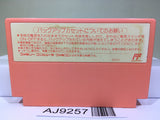 Kirby Kirby's Adventure Nintendo Famicom NES Japan - AJ9257