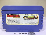 Dragon Ball Shenron no Nazo Nintendo Famicom NES Japan - AJ9304