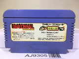 Dragon Ball Shenron no Nazo Nintendo Famicom NES Japan - AJ9305