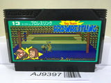 Tag Team Pro Wrestling Nintendo Famicom NES Japan - AJ9397