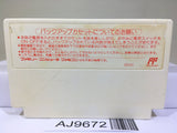Armed Dragon Fantasy Villgust KouryuDensetsu Nintendo Famicom NES Japan - AJ9672