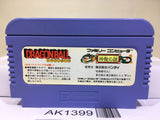 Dragon Ball Shenron no Nazo Nintendo Famicom NES Japan - AK1399