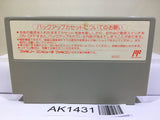 Takeda Shingen 2 Nintendo Famicom NES Japan - AK1431