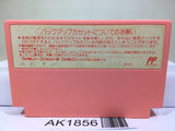 Kirby Kirby's Adventure Nintendo Famicom NES Japan - AK1856