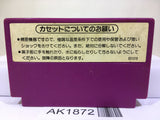 Spartan X Kung Fu Master Nintendo Famicom NES Japan - AK1872