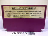 Spartan X Kung Fu Master Nintendo Famicom NES Japan - AK2293