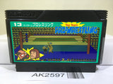 Tag Team Pro Wrestling Nintendo Famicom NES Japan - AK2597 - Photo 1