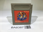 BA8387 Pokemon Red GameBoy Game Boy Japan