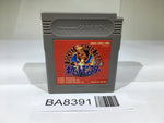 BA8391 Pokemon Red GameBoy Game Boy Japan