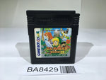 BA8429 The Legend of Zelda Link's Awakening DX GameBoy Game Boy Japan