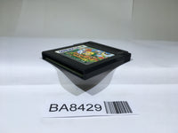BA8429 The Legend of Zelda Link's Awakening DX GameBoy Game Boy Japan