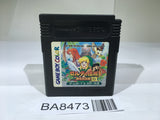 BA8473 The Legend of Zelda Link's Awakening DX GameBoy Game Boy Japan