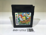 BB1252 The Legend of Zelda Link's Awakening DX GameBoy Game Boy Japan