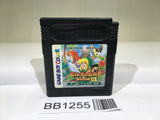 BB1255 The Legend of Zelda Link's Awakening DX GameBoy Game Boy Japan