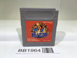 BB1964 Pokemon Red GameBoy Game Boy Japan