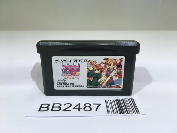 BB2487 Negima! Magister Negi Magi Private Lesson GameBoy Advance Japan