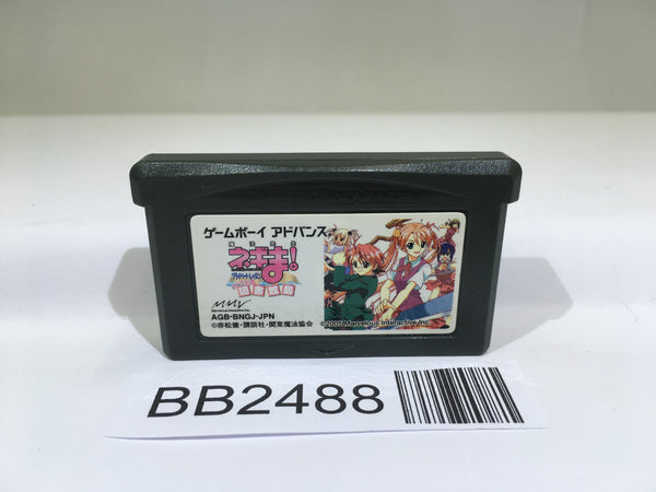 BB2488 Negima! Magister Negi Magi Private Lesson GameBoy Advance Japan