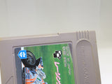 BB3169 Racing Damashii GameBoy Game Boy Japan
