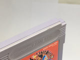BB5089 Pokemon Red GameBoy Game Boy Japan