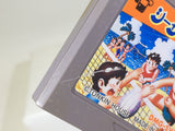 BB5794 Sea Side Valley Ball GameBoy Game Boy Japan