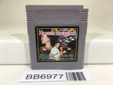 BB6977 Master Karateka GameBoy Game Boy Japan