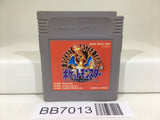 BB7013 Pokemon Red GameBoy Game Boy Japan