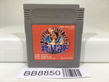 BB8850 Pokemon Red Nintendo GameBoy Japan