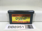 BB8951 Pokemon Mystery Dungeon Red Rescue Team Nintendo GameBoy Advance Japan