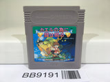 BB9191 Kaeru no Tame ni Kane wa Naru Nintendo GameBoy Japan