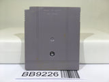 BB9226 Ranma 1/2 Netsuretsu Kakutou Hen Nintendo GameBoy Japan