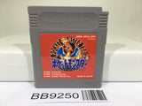 BB9250 Pokemon Red Nintendo GameBoy Japan