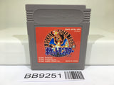 BB9251 Pokemon Red Nintendo GameBoy Japan