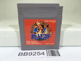 BB9254 Pokemon Red Nintendo GameBoy Japan